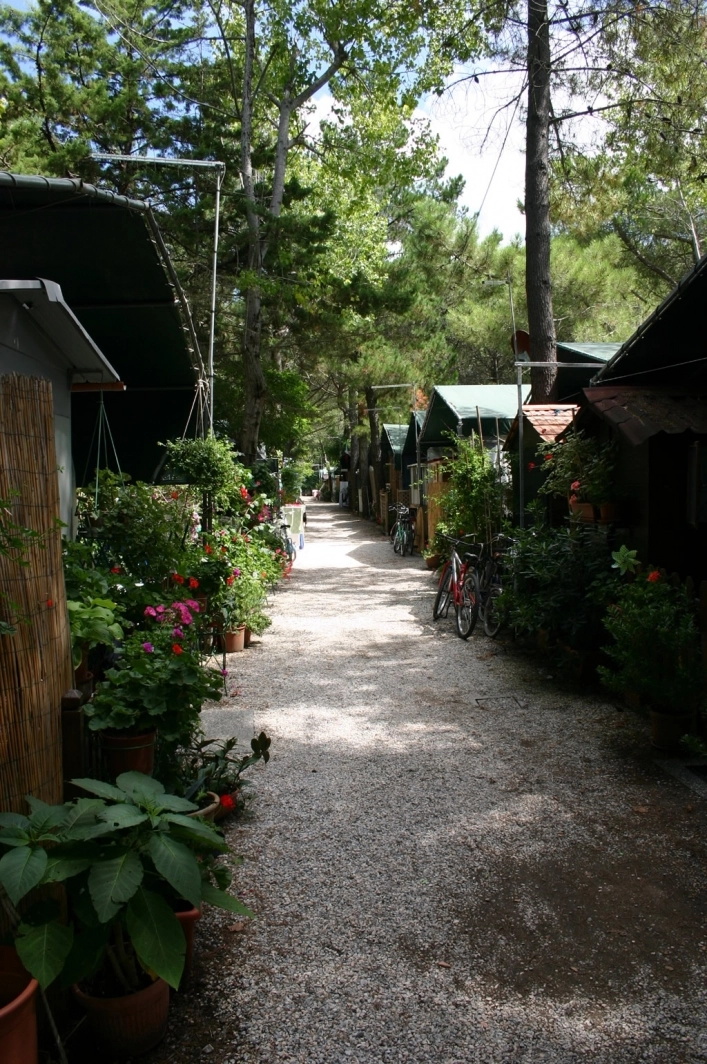 zobacz camping - zdjęcie 10