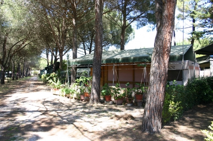 zobacz camping - zdjęcie 6