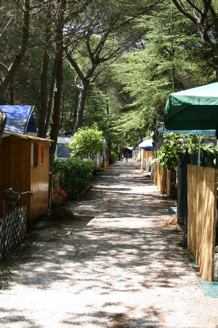 Camping Del Forte - zdjęcie 3