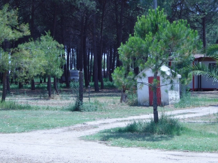 zobacz camping - zdjęcie 11