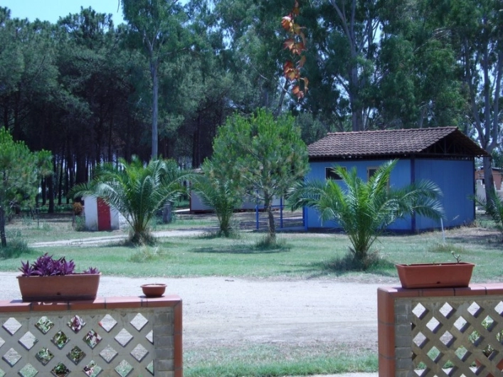 zobacz camping - zdjęcie 9