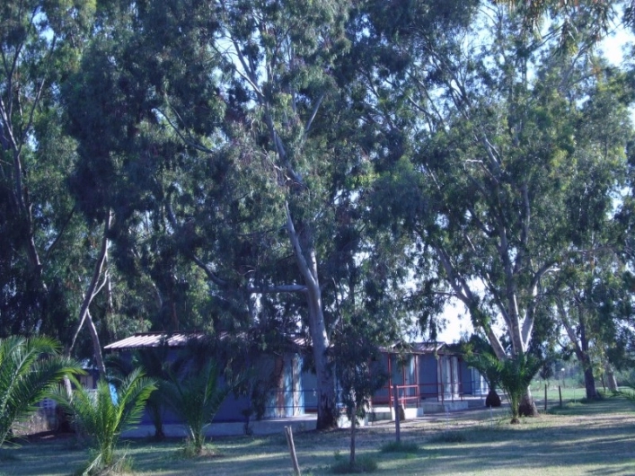 zobacz camping - zdjęcie 7