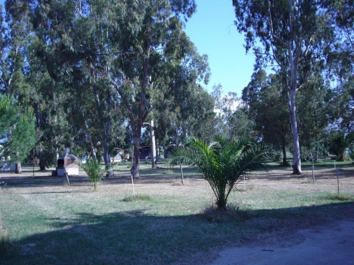 zobacz camping - zdjęcie 6