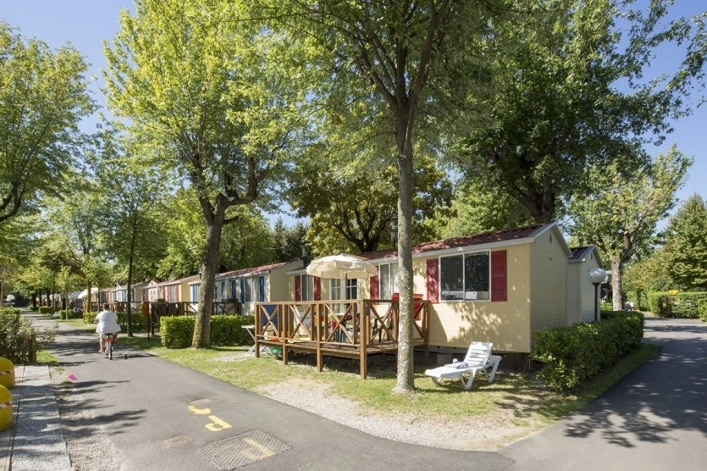 zobacz camping - zdjęcie 17