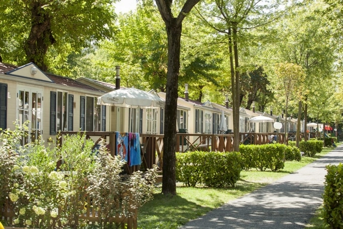 zobacz camping - zdjęcie 16