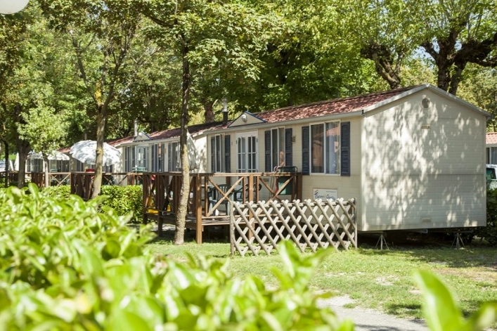 zobacz camping - zdjęcie 12