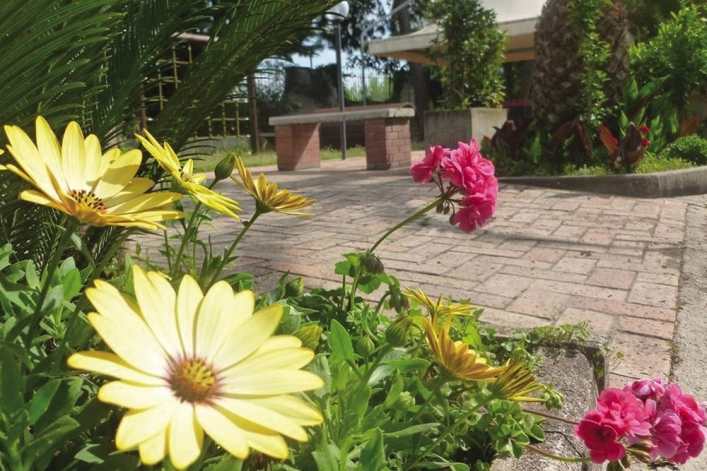 zobacz camping - zdjęcie 9