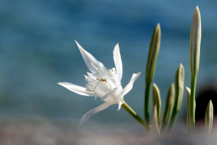 zobacz camping - zdjęcie 3