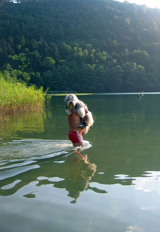 zobacz camping - zdjęcie 33