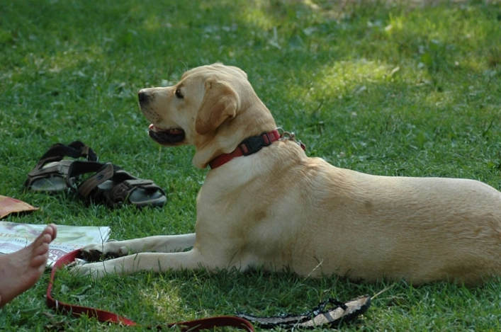 zobacz camping - zdjęcie 32