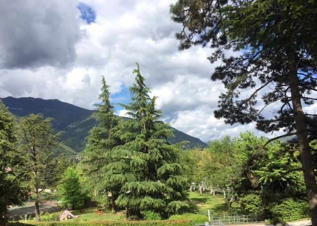 zobacz camping - zdjęcie 11