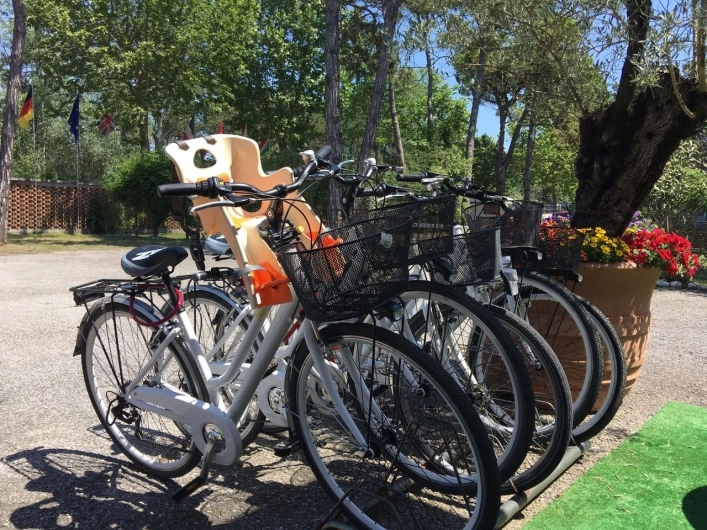 zobacz camping - zdjęcie 5