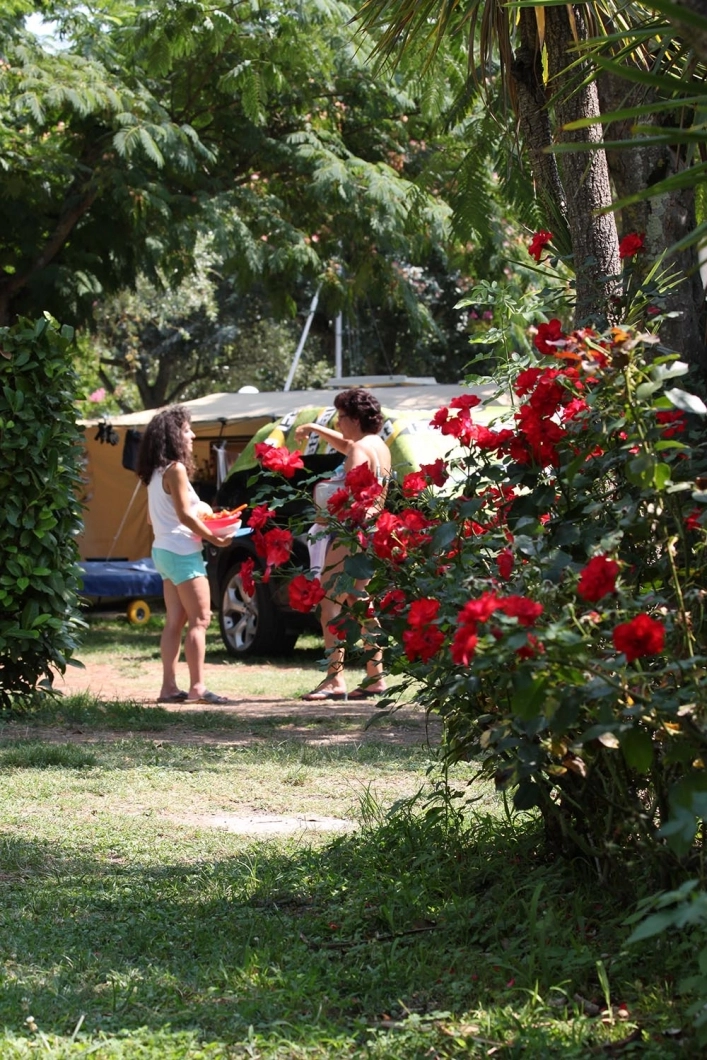 zobacz camping - zdjęcie 14