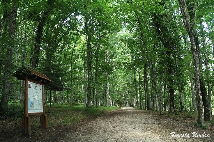 zobacz camping - zdjęcie 8