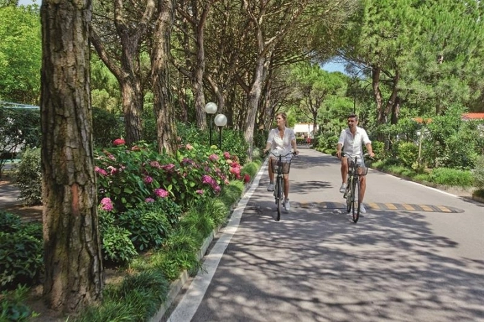 zobacz camping - zdjęcie 86