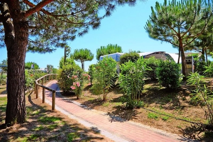 zobacz camping - zdjęcie 79