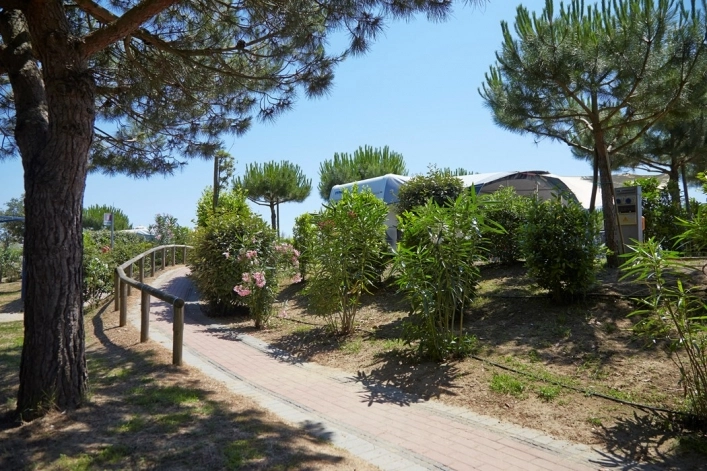 zobacz camping - zdjęcie 69