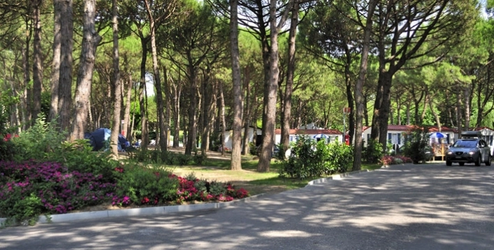 zobacz camping - zdjęcie 58