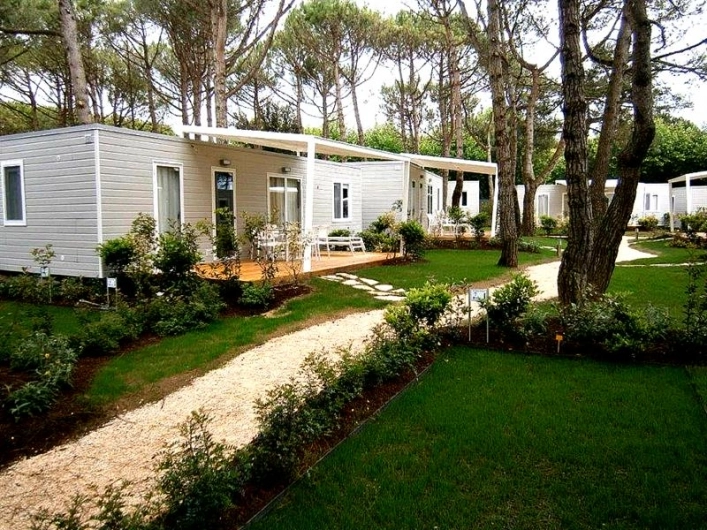 zobacz camping - zdjęcie 50