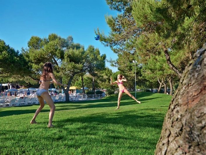 zobacz camping - zdjęcie 31