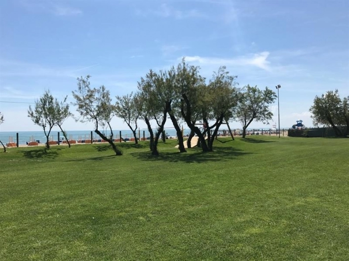 zobacz camping - zdjęcie 20