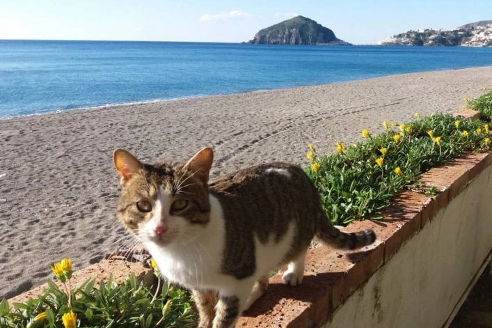 zobacz camping - zdjęcie 36