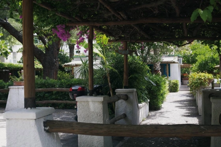 zobacz camping - zdjęcie 31