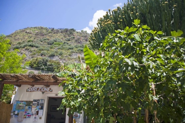 zobacz camping - zdjęcie 12