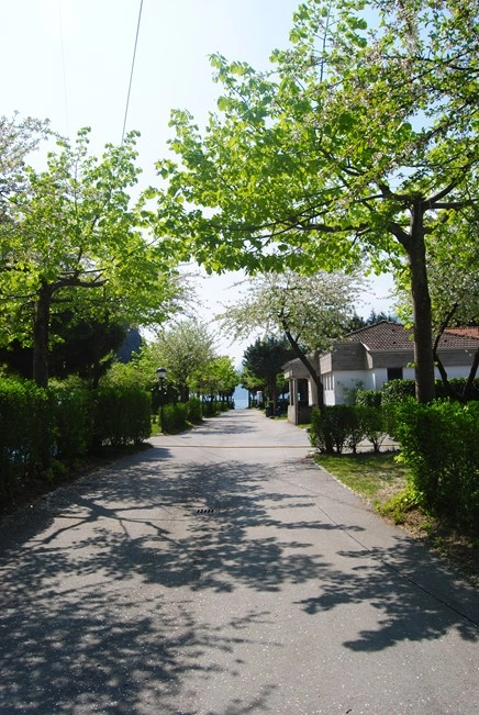 zobacz camping - zdjęcie 8