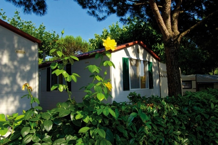 zobacz camping - zdjęcie 26