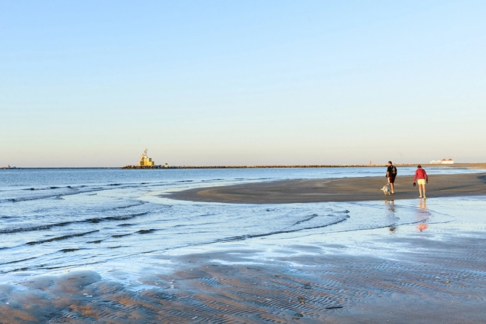 zobacz camping - zdjęcie 16
