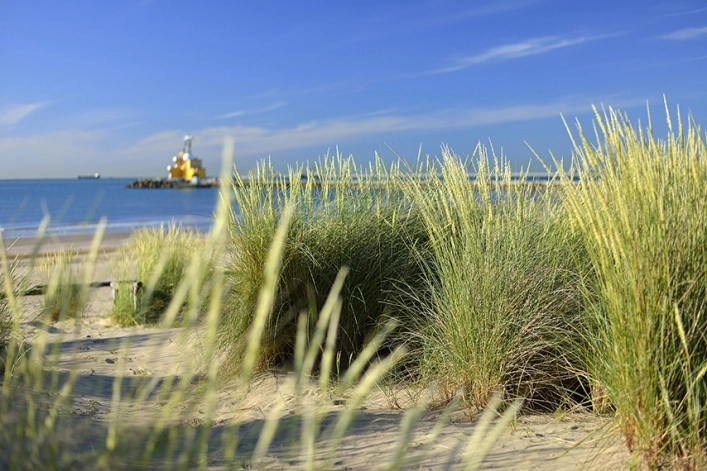 zobacz camping - zdjęcie 14