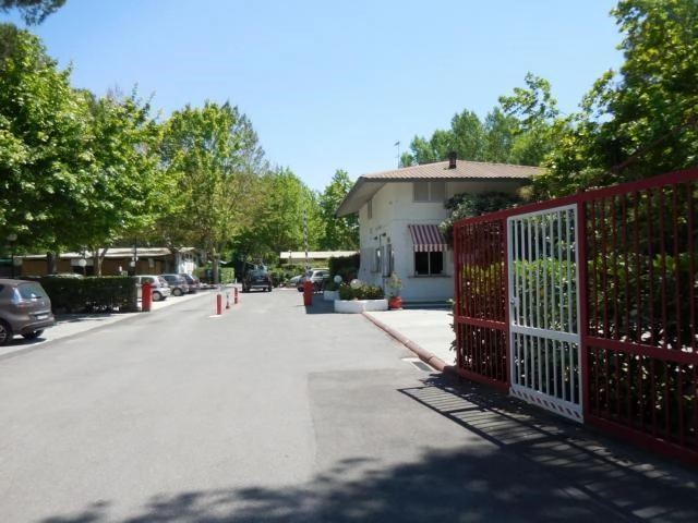 zobacz camping - zdjęcie 10