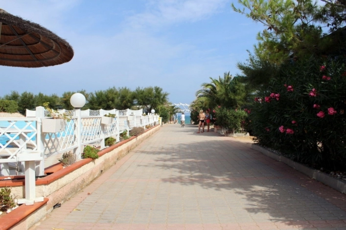 zobacz camping - zdjęcie 12