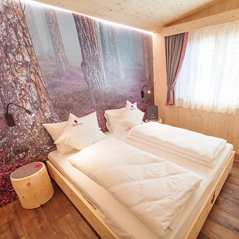 zobacz camping - zdjęcie 12