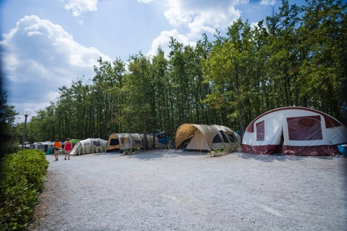 zobacz camping - zdjęcie 44