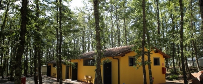 zobacz camping - zdjęcie 43