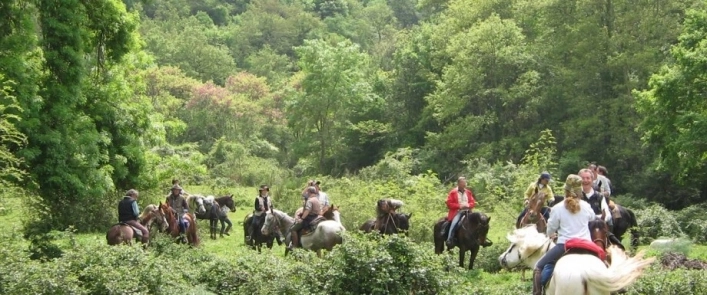 zobacz camping - zdjęcie 34