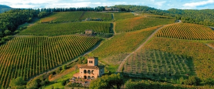 zobacz camping - zdjęcie 16