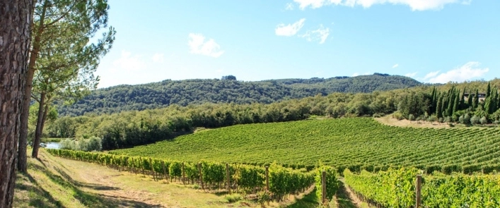 zobacz camping - zdjęcie 6