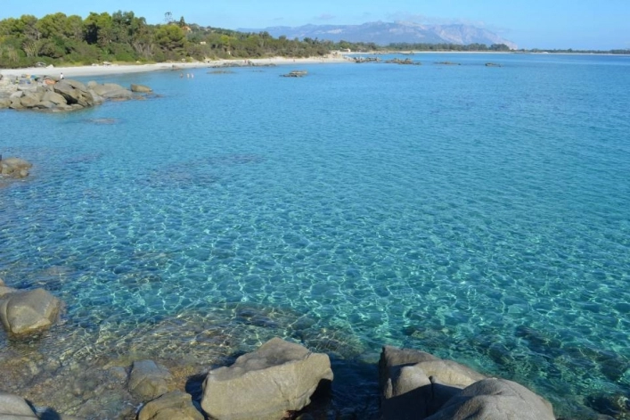 zobacz camping - zdjęcie 23