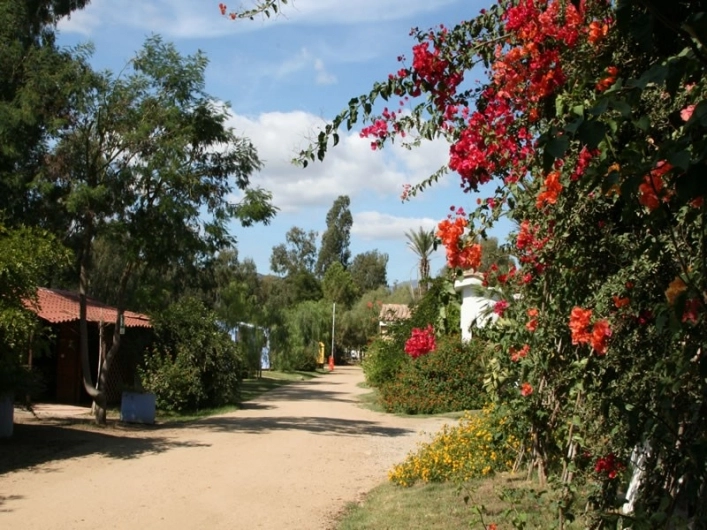 zobacz camping - zdjęcie 8