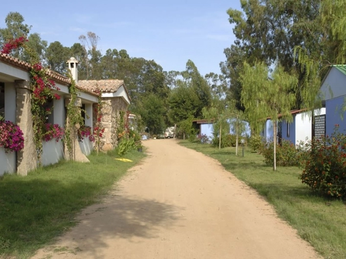 zobacz camping - zdjęcie 7