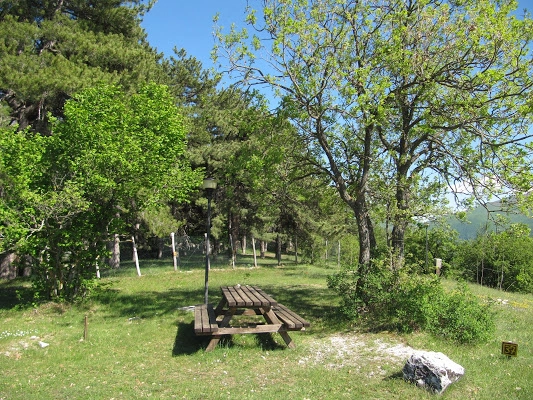 zobacz camping - zdjęcie 7