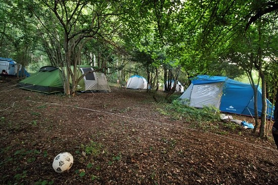 zobacz camping - zdjęcie 5