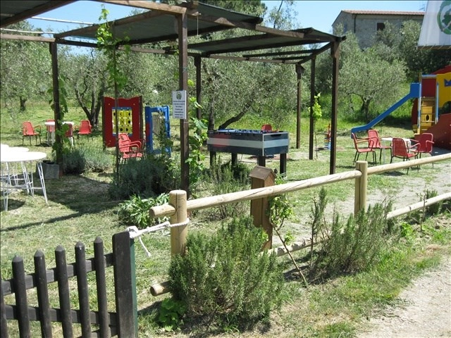 zobacz camping - zdjęcie 57