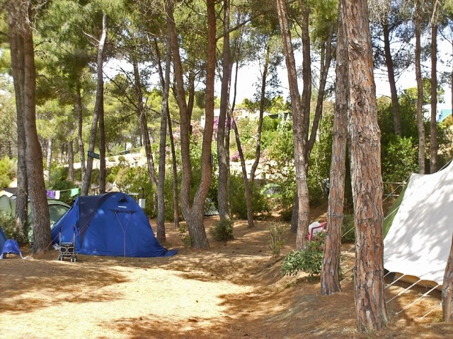 zobacz camping - zdjęcie 56