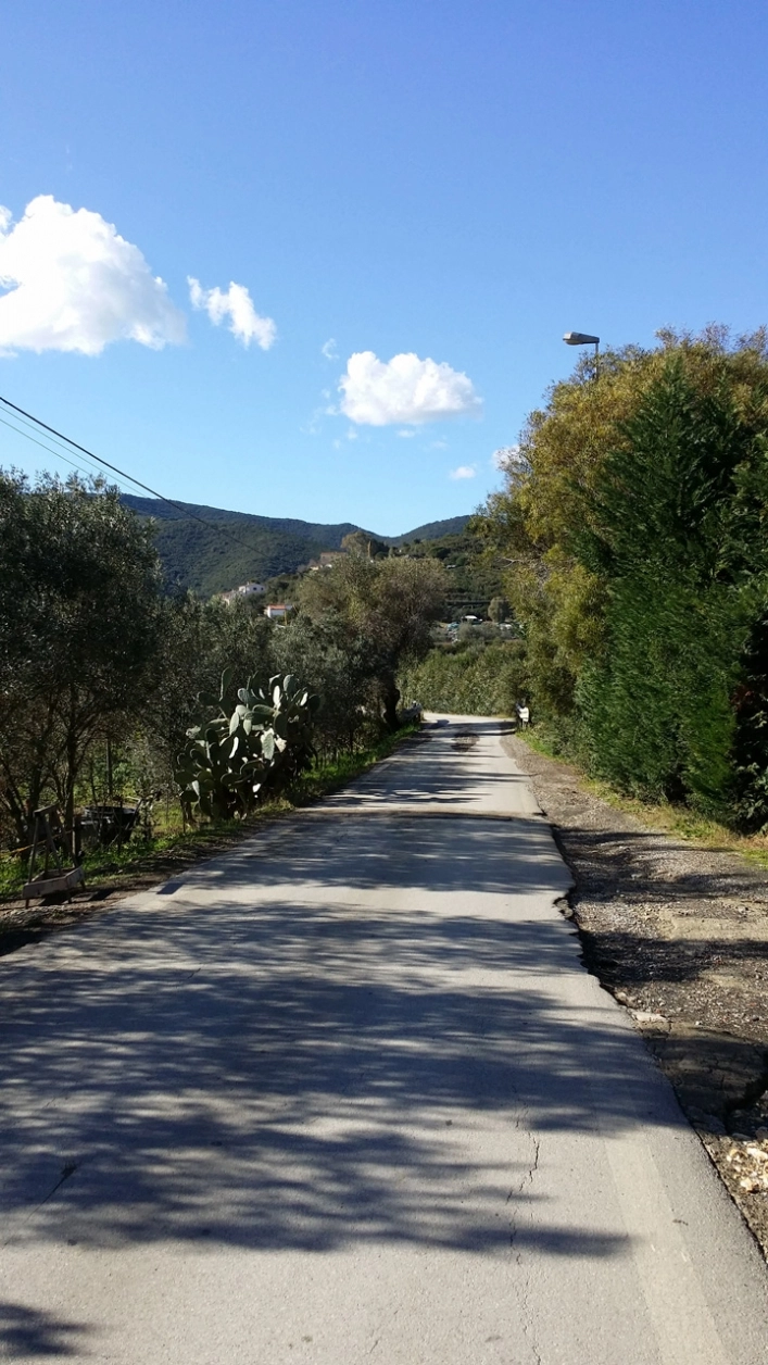 zobacz camping - zdjęcie 54