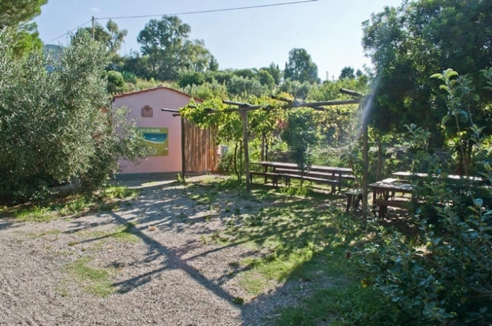 zobacz camping - zdjęcie 53