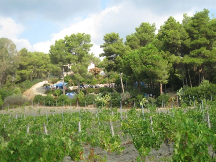 zobacz camping - zdjęcie 48